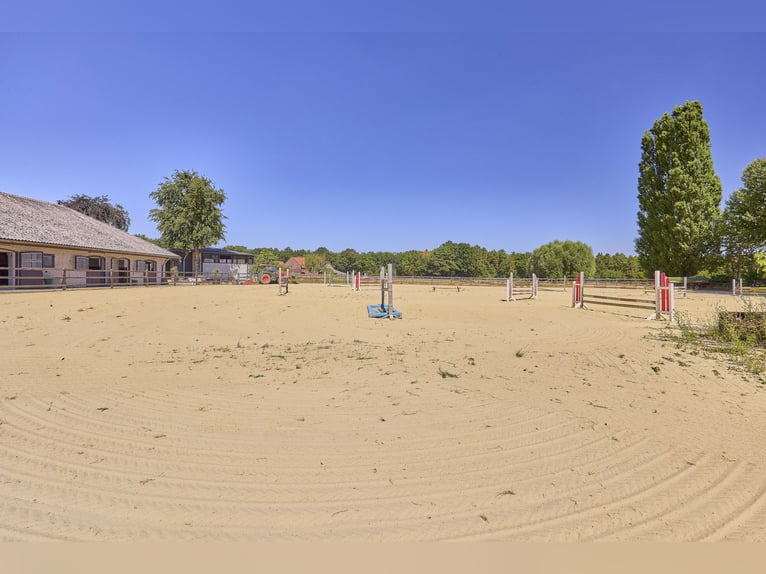 Paardensportcentrum te koop in Noordrijn-Westfalen nabij Münster – Modern landhuis, rijhal, springwe