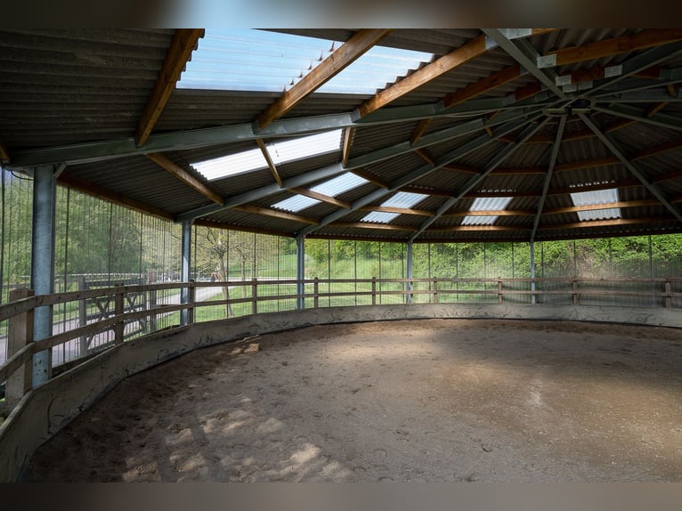 Paardensportcentrum te koop in Saarland, nabij St. Wendel, gelegen op een schilderachtige, afgelegen
