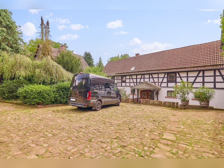 Paardenwoning in het Odenwald met twee woonhuizen en ruimte voor 5-10 paarden!