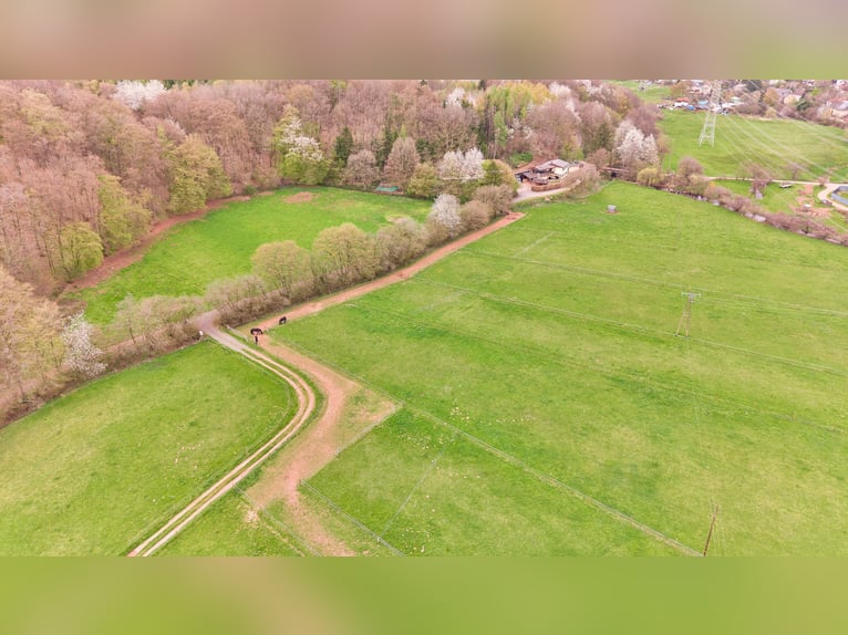 Paardenwoning te koop in Saarland – Landgoed in schilderachtige natuur met moderne rijhal!