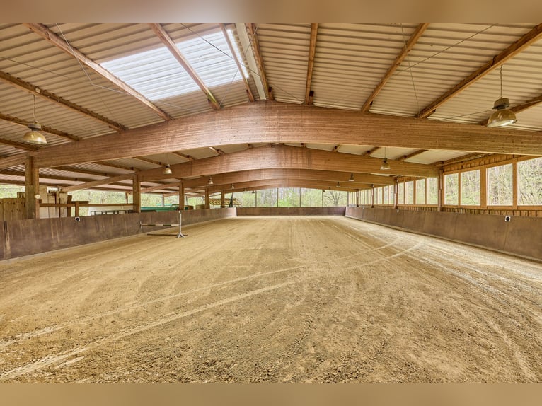 Paardenwoning te koop in Saarland – Landgoed in schilderachtige natuur met moderne rijhal!