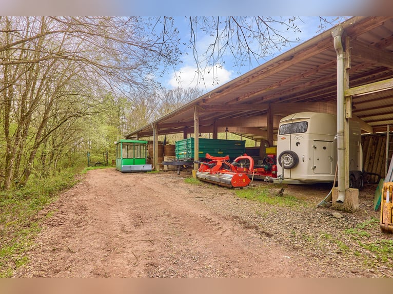 Paardenwoning te koop in Saarland – Landgoed in schilderachtige natuur met moderne rijhal!