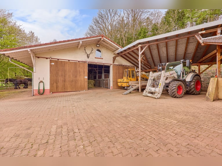 Paardenwoning te koop in Saarland – Landgoed in schilderachtige natuur met moderne rijhal!