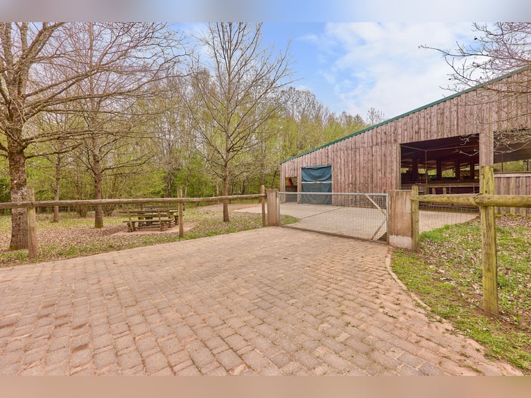 Paardenwoning te koop in Saarland – Landgoed in schilderachtige natuur met moderne rijhal!