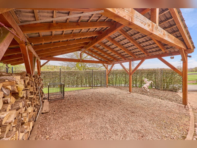 Paardenwoning te koop in Saarland – Landgoed in schilderachtige natuur met moderne rijhal!