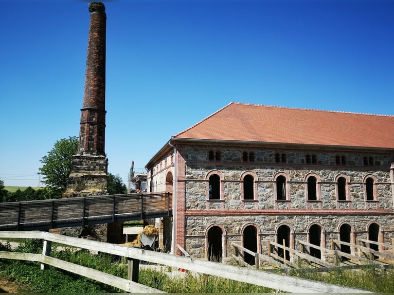 Paardrijcentrum bij Dresden - deelgebied