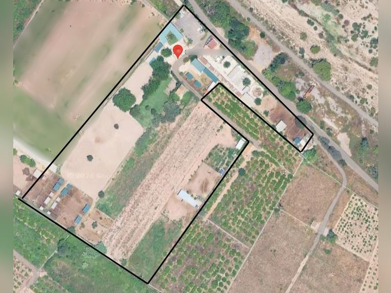 Paardrijcentrum in Castellón // Centrum voor paardensport in Castellón Sur