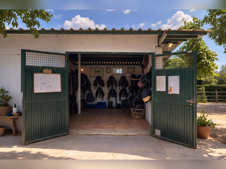 Paardrijcentrum in Castellón // Centrum voor paardensport in Castellón Sur