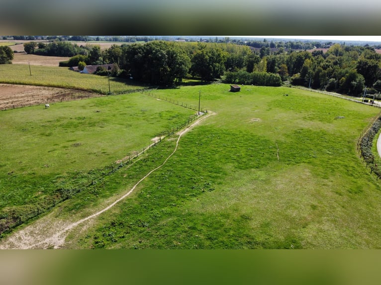 Paardrijk oase van rust