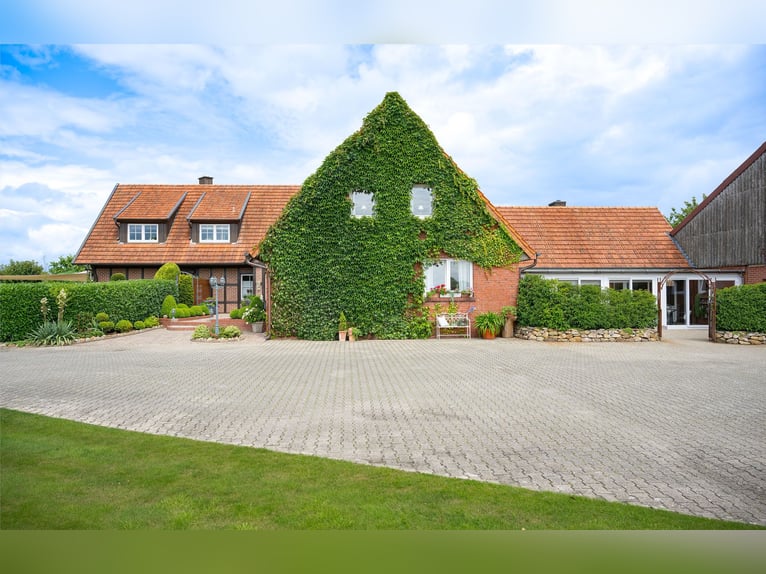 Paardvriendelijk en representatief: boerderij met twee woonhuizen en een groot landgoed nabij Meppen