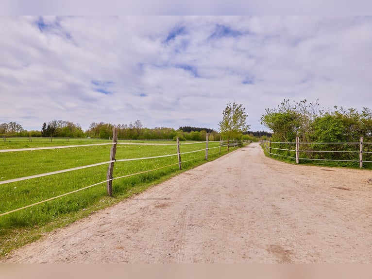 Pferdegerechte Reitanlage zu verkaufen inkl. Aktivstall & PV-Anlage (160 kWp) in Baden-Württemberg!