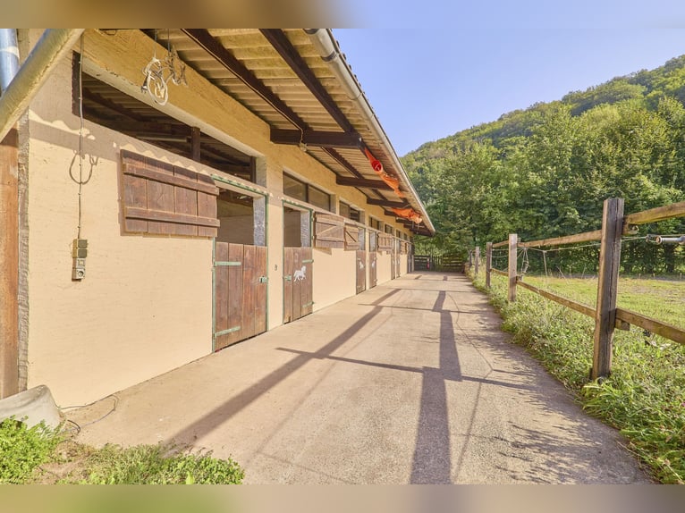 Pferdehof in Rheinland-Pfalz mit 8 Pferdeboxen und kleiner Halle in Niederhambach!