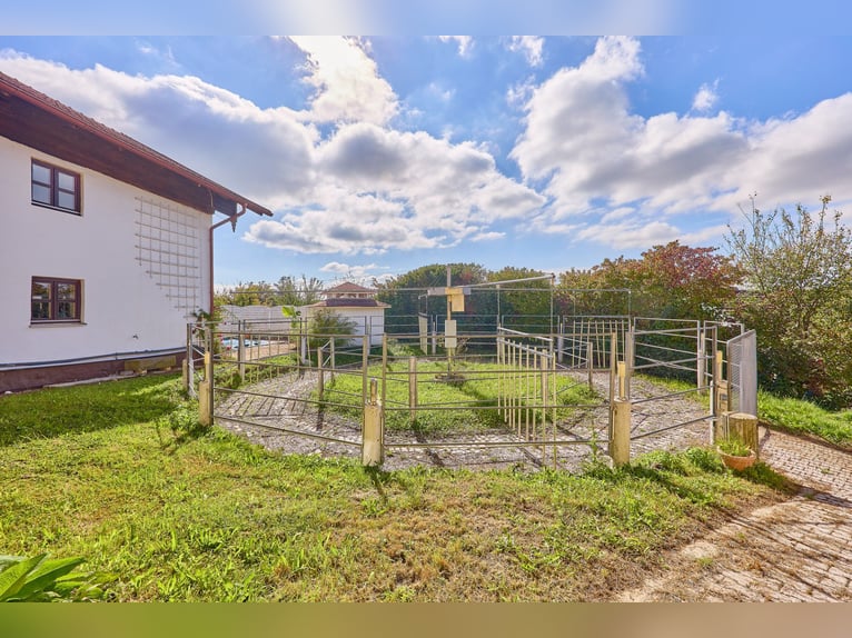 Pferdeimmobilie in Bayern kaufen im Landkreis Deggendorf - Schickes Landhaus mit Außenpool inklusive