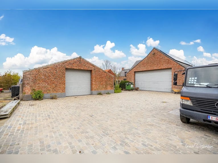 Prachtig gerenoveerde villa met grote garage en stalgebouw op 8.875 m² te Retie