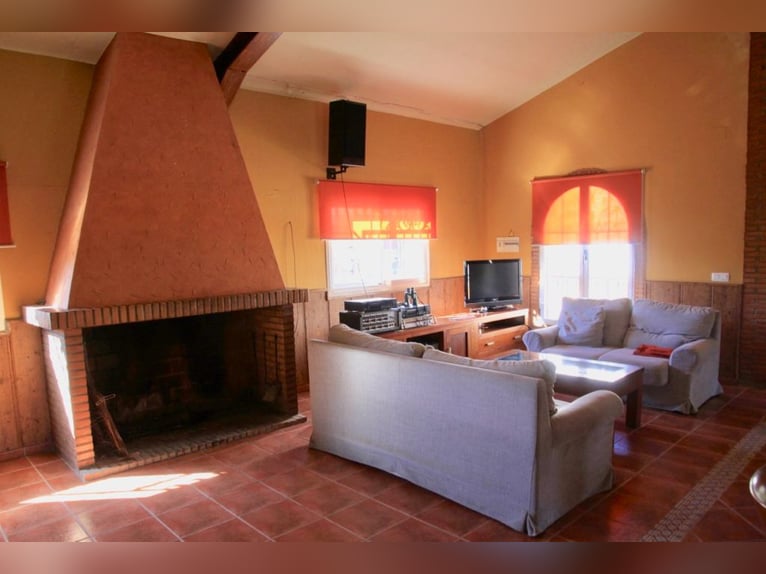 Prachtig landgoed volledig uitgerust voor paarden