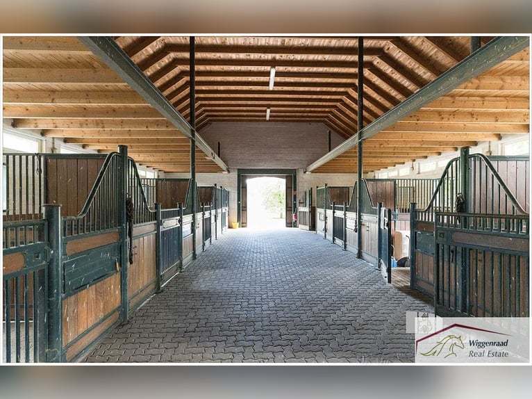 Prachtig paardenpension in een afgelegen locatie in Noordrijn-Westfalen, Duitsland