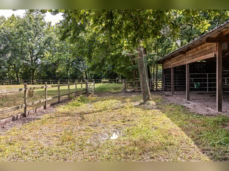 Prachtige landelijke villa met gezinstuin en graslanden op 32.558m² te Lochristi | België