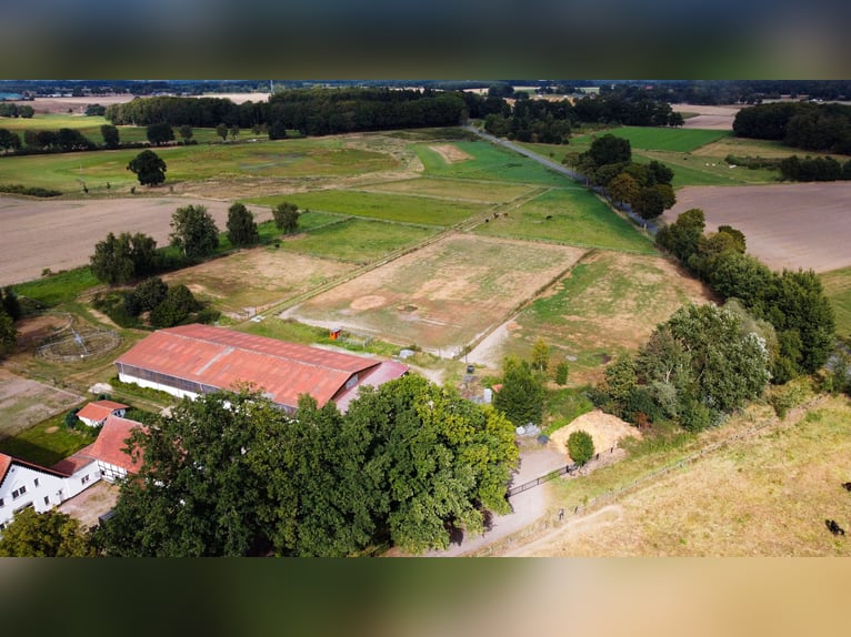 Prachtige paardenboerderij met ongeveer 7,5 hectare grond, binnenbak, longeerbaan, buitenrijbaan, st