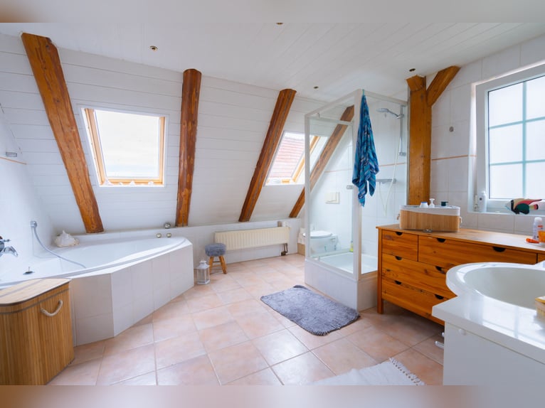 Prachtige paardenboerderij met ongeveer 7,5 hectare grond, binnenbak, longeerbaan, buitenrijbaan, st