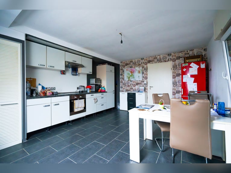 Prachtige paardenboerderij met ongeveer 7,5 hectare grond, binnenbak, longeerbaan, buitenrijbaan, st