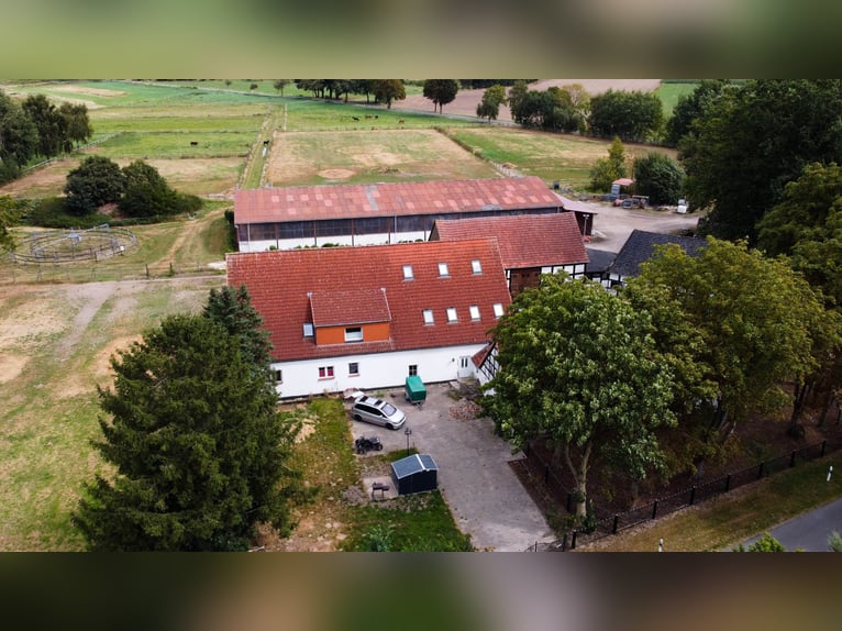 Prachtige paardenboerderij met ongeveer 7,5 hectare grond, binnenbak, longeerbaan, buitenrijbaan, st
