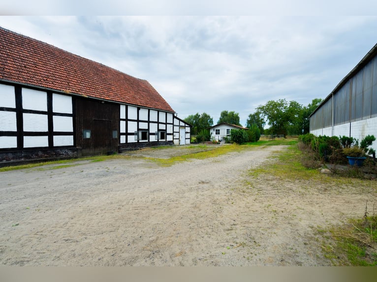 Prachtige paardenboerderij met ongeveer 7,5 hectare grond, binnenbak, longeerbaan, buitenrijbaan, st