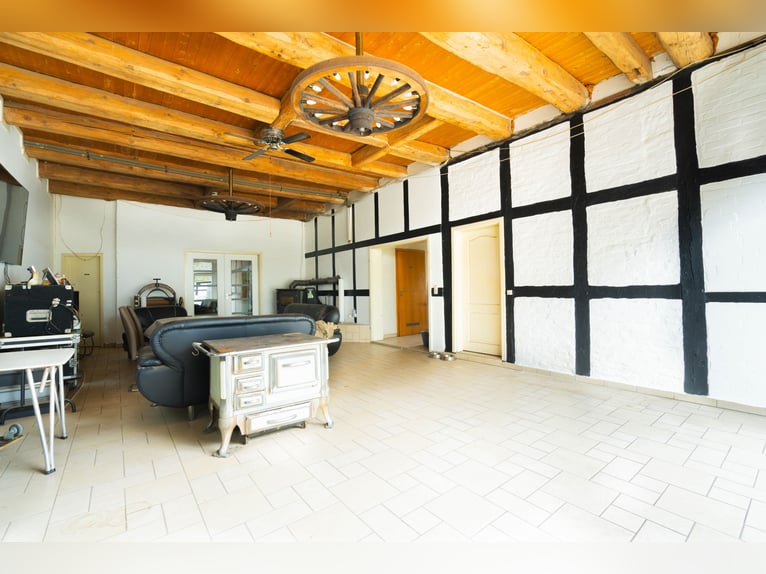 Prachtige paardenboerderij met ongeveer 7,5 hectare grond, binnenbak, longeerbaan, buitenrijbaan, st