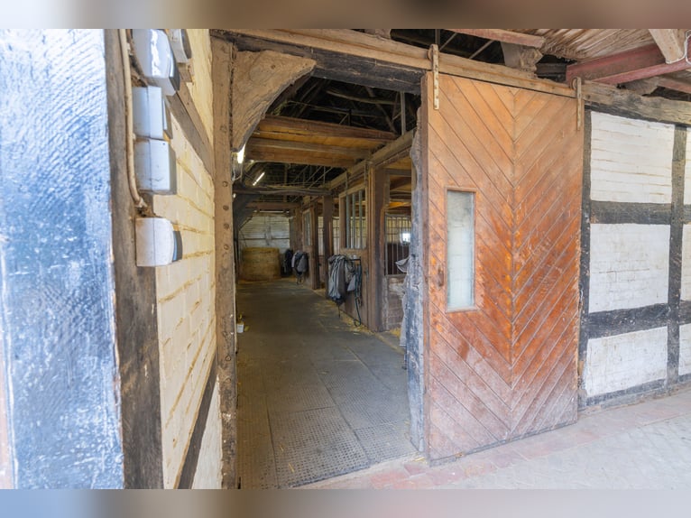 Prachtige paardenboerderij met ongeveer 7,5 hectare grond, binnenbak, longeerbaan, buitenrijbaan, st