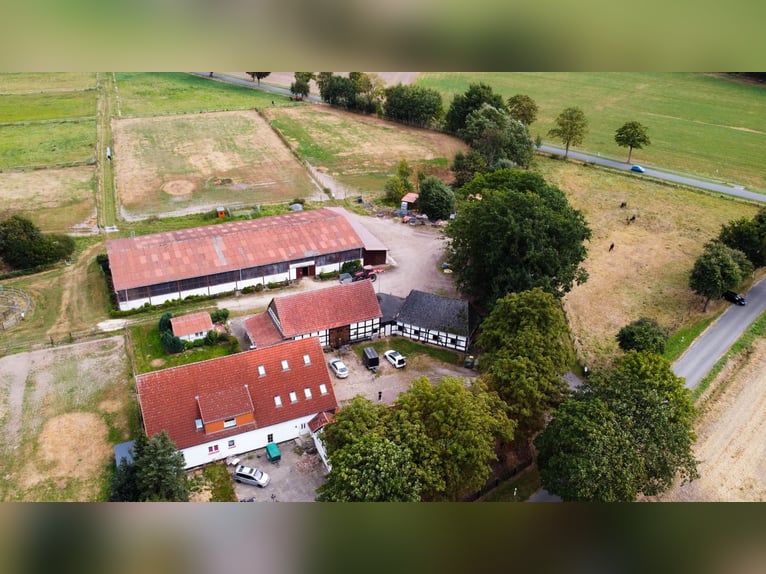 Prachtige paardenboerderij met ongeveer 7,5 hectare grond, binnenbak, longeerbaan, buitenrijbaan, st