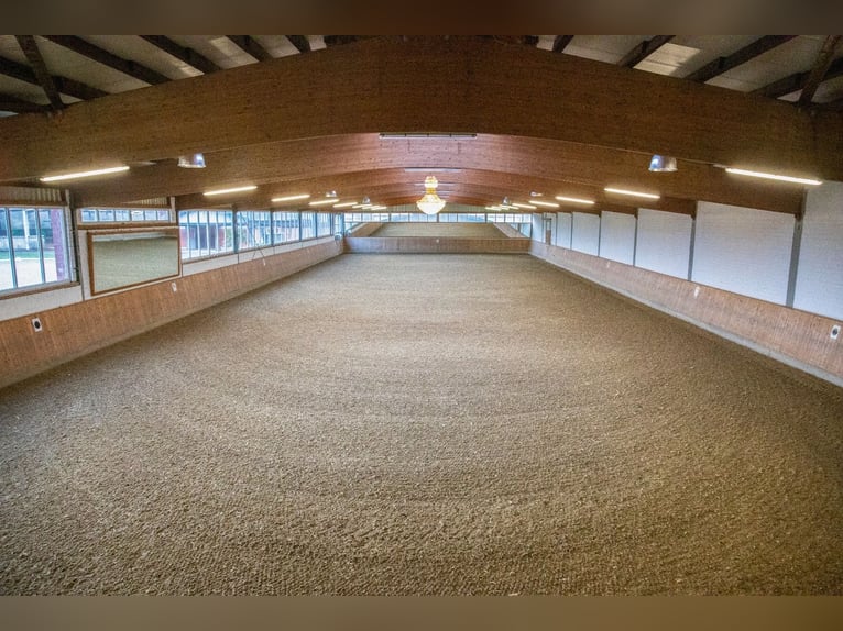 Prachtige stallencomplex te huur op het vijfsterren paardensportcentrum Gut Hohenkamp