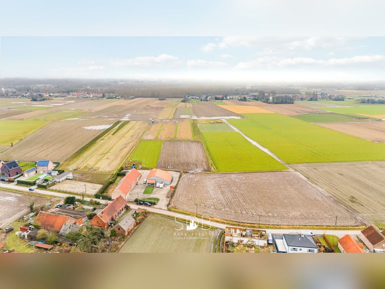 Prachtige villa in hoevestijl met bijgebouwen en graslanden op 89.070m² - 2811 Leest
