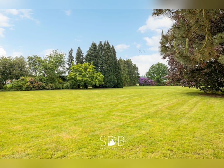 Prachtige villa met zwembad, paardenstallen, paddock en grasland op 1,3HA - 1790 Affligem