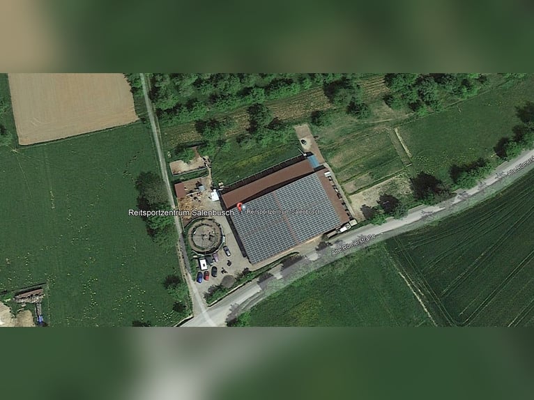 PREISREDUZIERUNG: Vielseitig nutzbare Reitanlage in der Metropolregion Rhein-Neckar