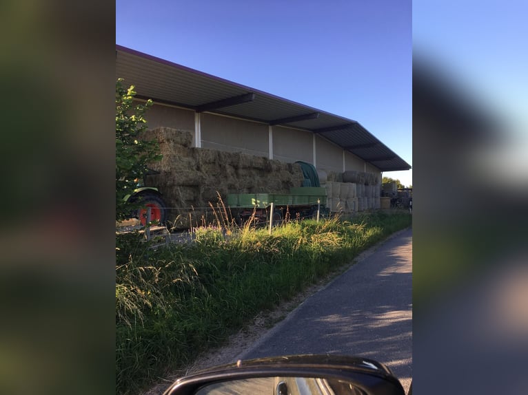 PREISREDUZIERUNG: Vielseitig nutzbare Reitanlage in der Metropolregion Rhein-Neckar