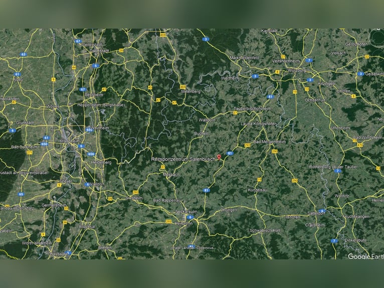 PREISREDUZIERUNG: Vielseitig nutzbare Reitanlage in der Metropolregion Rhein-Neckar