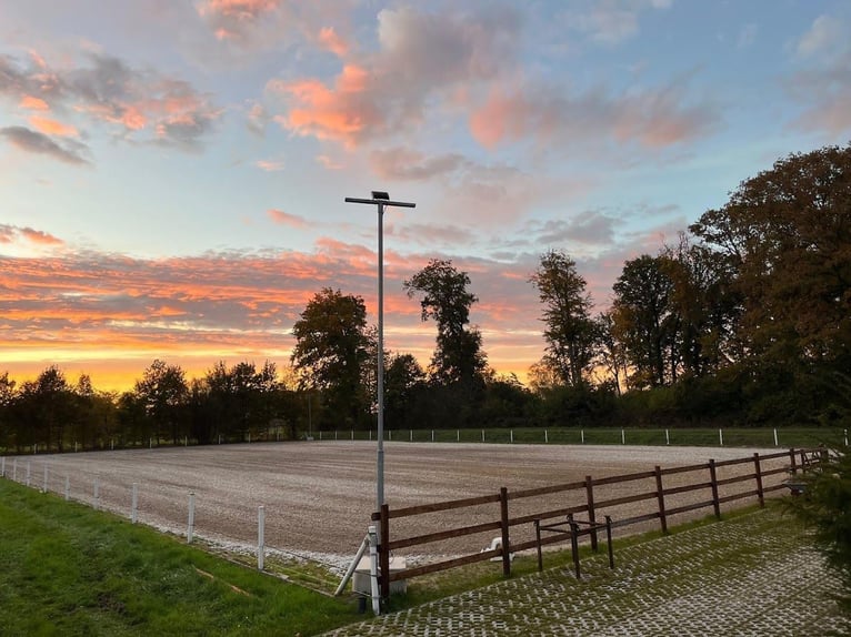 Private Reitanlage - top renoviert inkl. Halle, großer Außenplatz und Wiesen. alles eingezäunt.