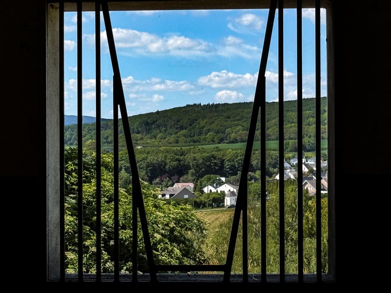 Privé ruiterfaciliteit met panoramisch uitzicht, vlakbij Bonn en Koblenz!