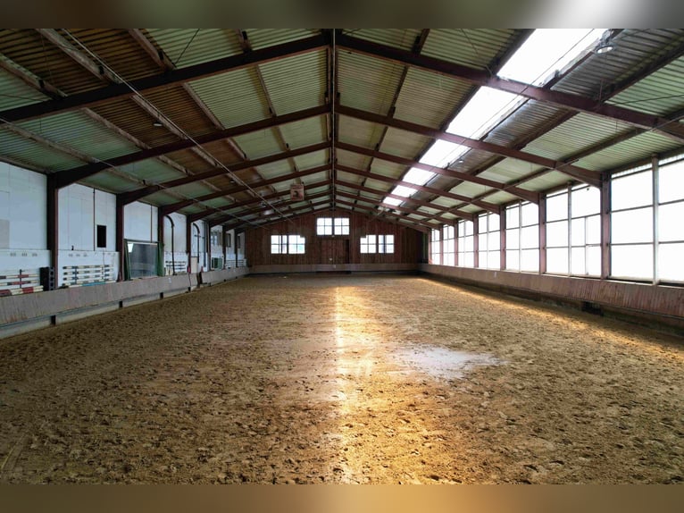 Reduziert: Pferdeimmobilie im Ranch-Style mit viel Nutzungsmöglichkeiten - auch Pacht möglich!
