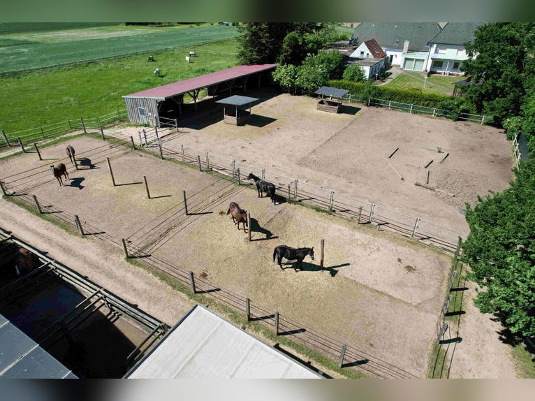 Reduziert: Pferdeimmobilie im Ranch-Style mit viel Nutzungsmöglichkeiten - auch Pacht möglich!
