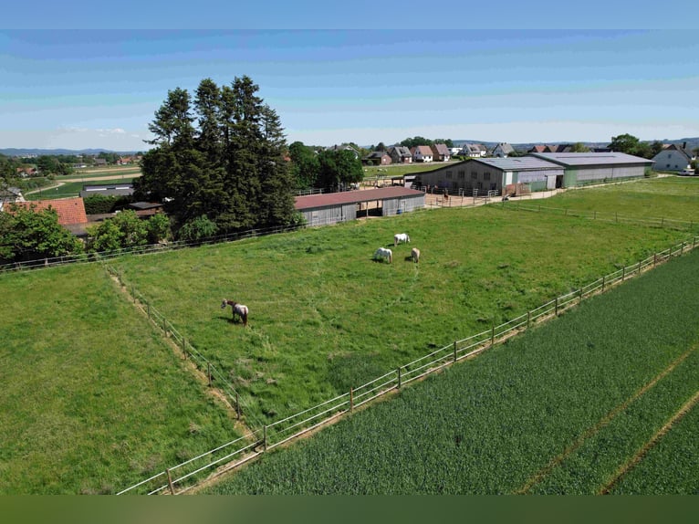 Reduziert: Pferdeimmobilie im Ranch-Style mit viel Nutzungsmöglichkeiten - auch Pacht möglich!