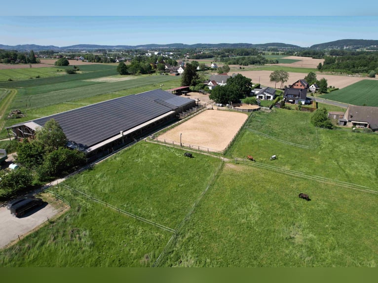 Reduziert: Pferdeimmobilie im Ranch-Style mit viel Nutzungsmöglichkeiten - auch Pacht möglich!