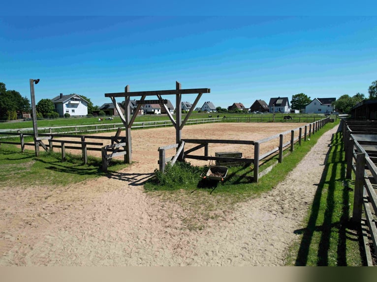 Reduziert: Pferdeimmobilie im Ranch-Style mit viel Nutzungsmöglichkeiten - auch Pacht möglich!