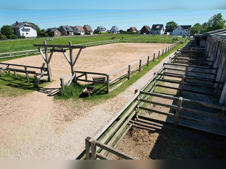 Reduziert: Pferdeimmobilie im Ranch-Style mit viel Nutzungsmöglichkeiten - auch Pacht möglich!