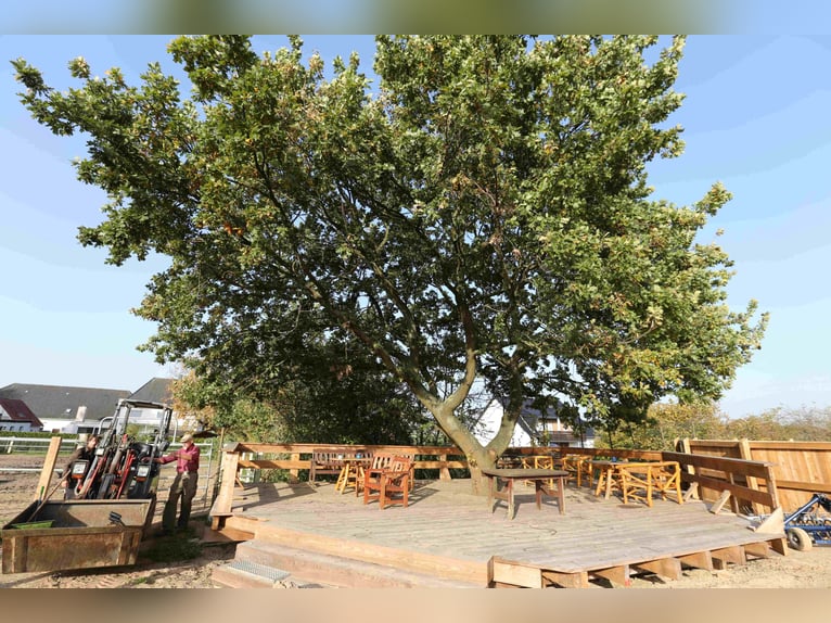Reduziert: Pferdeimmobilie im Ranch-Style mit viel Nutzungsmöglichkeiten - auch Pacht möglich!