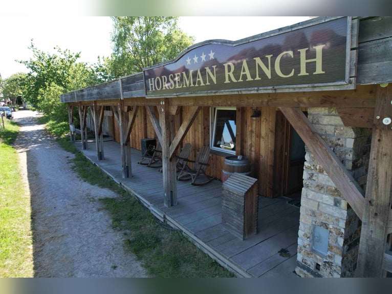Reduziert: Pferdeimmobilie im Ranch-Style mit viel Nutzungsmöglichkeiten - auch Pacht möglich!