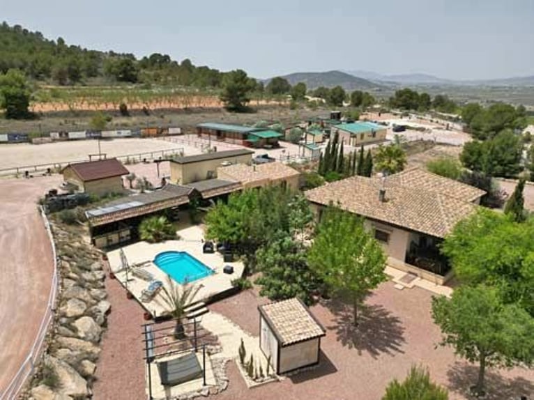 Ref2523SS SPANIEN, Alicante, Monóvar - gut eingeführte Pferde-Gäste-Ranch zu verkaufen!