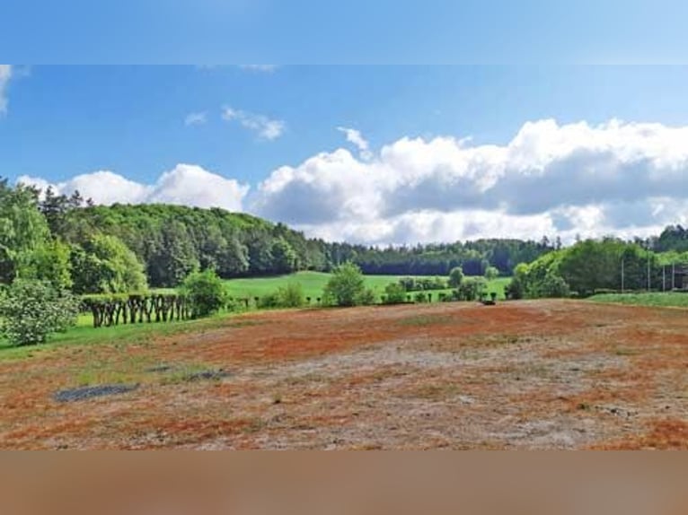 Ref2529 Bayern, Oberfranken, fränkische Schweiz, 50 km Nürnberg - exkl. Anwesen für Pferdefreunde