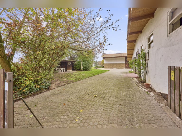 Reitanlage an der Bergstraße: Romantisches Holzhaus & ländliche Ruhe in Lorsch