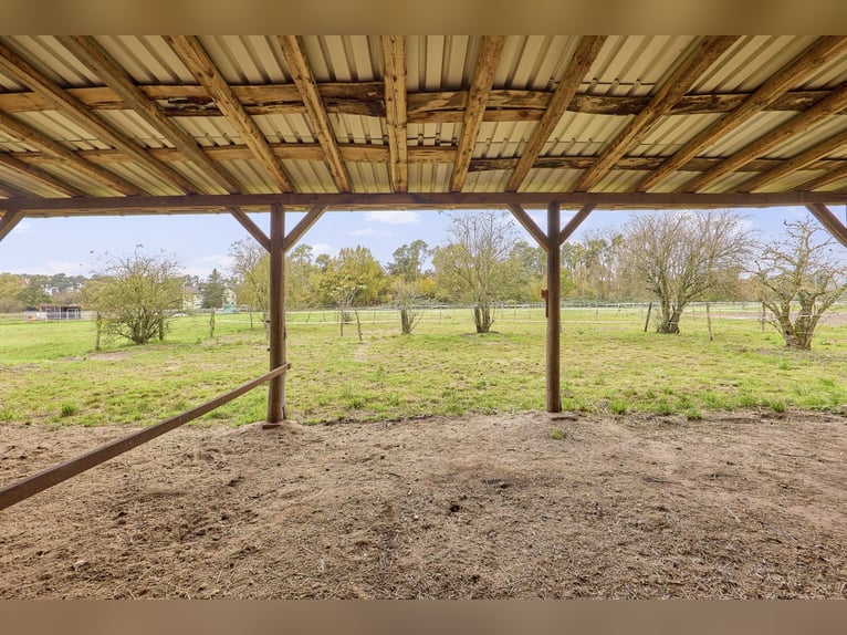 Reitanlage an der Bergstraße: Romantisches Holzhaus & ländliche Ruhe in Lorsch