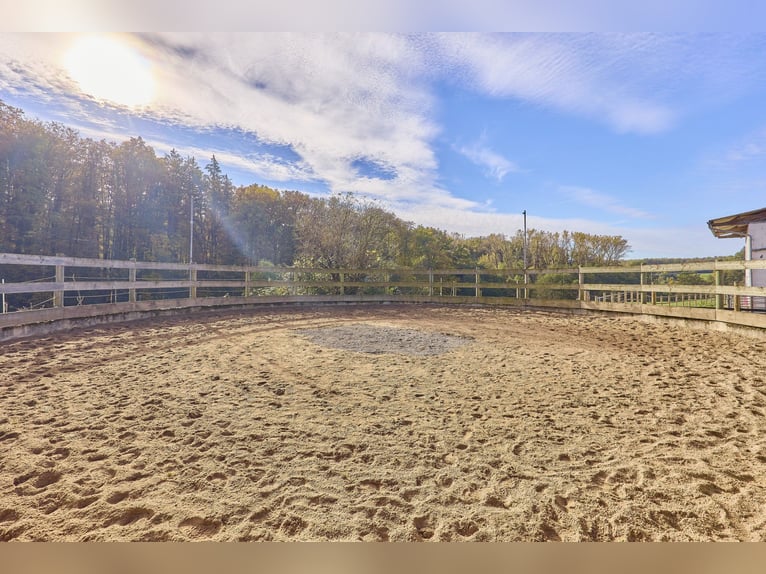 Reitanlage bei Göppingen zu verkaufen – Malerische Alleinlage trifft auf sportliche Gegebenheiten!